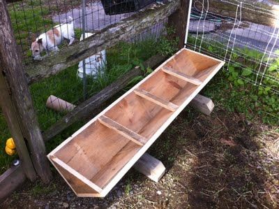 Diy Pig Trough, Pig Feeders Diy Ideas, Hog Feeder, Pig Fence, Pig Trough, Pig Feeder, Cattle Feeder, Pastured Pigs, Goat Feeder