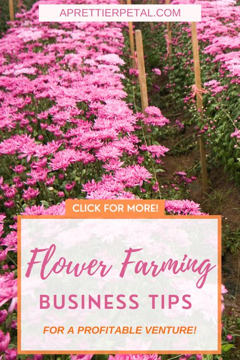 Flower Farming Layout, Flower Farm Layout Ideas, U Pick Farm Ideas, Cut Flower Bouquet Ideas, Flower Farm Ideas, Flower Farming Business, U Pick Flower Farm Ideas, How To Have A Flower Farm, Small Cut Flower Garden