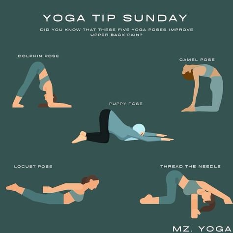 Happy Sunday! If you are experiencing any upper back pain…these poses were made for you🦋💙🧘‍♀️ #fall #fallvibes #healthandwellness #yoga #yogatipsunday #yogaforbackpain #yogainstructor #yogainspiration Sunday Yoga, Dolphin Pose, Yoga Facts, Puppy Pose, Camel Pose, Yoga For Back Pain, Upper Back Pain, Yoga Tips, Yoga Inspiration