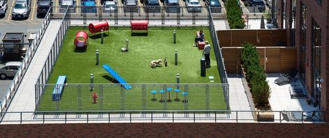 Dog Park on Rooftop Roof Top Playground, Rooftop Dog Park, Rooftop Playground, Rose Tower, Apartment Rooftop, Outdoor Rooftop, Pet Daycare, Dog Spa, Pet Area