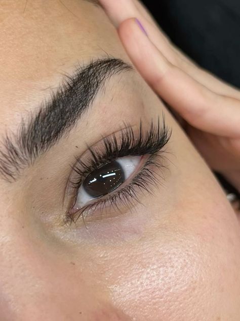 Beautiful Eyelashes Natural, C And D Curl Eyelash Extensions, Lash Natural Extensions, Cat Eyes Extension, Cateye Classic Lashes, Fluffy Wispy Lash Extensions, Eyelashes Extensions Cat Eye, Minimal Lash Extensions, Cat Eye Natural Lash Extensions