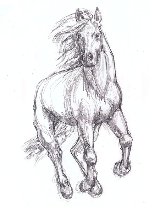 Horses Drawing Sketches, Horse Drawings Pencil, Horse Drawing Ideas, Horse Running Drawing, Animal Pencil Drawings, Sketch Horse, Horse Sketches, Horse Drawing Tutorial, Horse Pencil Drawing