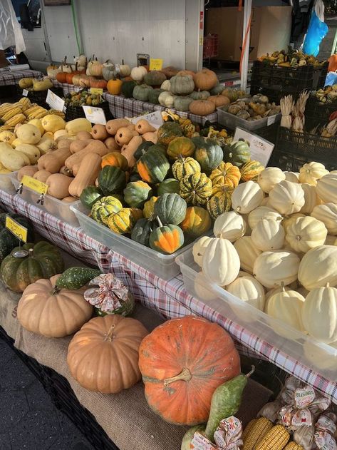 Cute Fall Pics, Autumn Farmers Market, Fall Farmers Market, Autumn Market, Market Photography, Fall Pics, Fall Mood, Small Pumpkins, Union Square