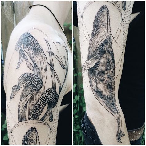 Humpback whale, with marsh plants Darlingtonia californica and burr reed. Thanks Courtney for sitting like a pro for your first tattoo! 🐋 Fauna Tattoo, Pony Reinhardt, Black Line Tattoo, Etching Tattoo, Whale Tattoos, Trendy Plants, Plant Tattoo, Nature Tattoos, Line Tattoos