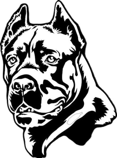 Cane Corso Tattoo, Cane Corso Drawing, Paw Drawing, Cane Corso Dog, Corso Dog, American Bully, Dope Tattoos, Cane Corso, Dog Portraits