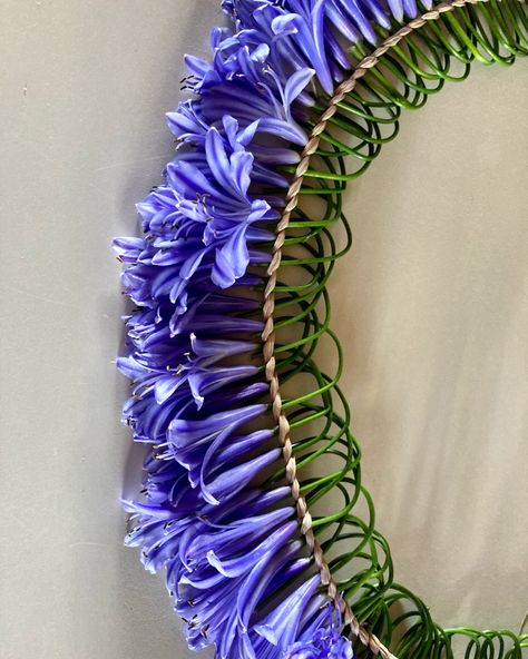 Micronesian style blue agapanthus lei w/ raffia Ti Leaf Lei How To Make, Lei Po'o Diy, Mokihana Lei, Lei Stand, Blue Agapanthus, Melanie Concert, Kukui Nut Lei, Fancy Scarf, Lei Ideas