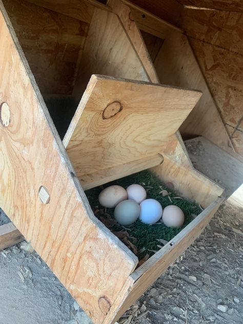 Chicken Coop And Chicken Run, Hen Laying Boxes Ideas, Chicken Layer Boxes, Homemade Nesting Boxes For Chickens, Roll Out Nesting Boxes Diy, Chicken Nesting Box Ideas, Nesting Boxes For Chickens, Chicken Laying Boxes, Nesting Boxes Diy