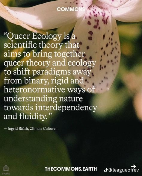 Queer Ecology, Late Capitalism, Queer Theory, Prose Poem, Conceptual Photo, Funny Feeling, Commonplace Book, Short Fiction, Stream Of Consciousness