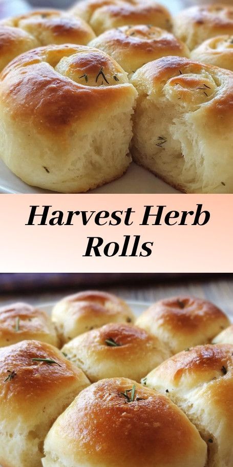 Harvest Herb Dinner Rolls recipe for a cozy autumn dinner. Made with seasonal herbs and perfect for fall meals. #HarvestRolls #SeasonalBaking #FallRecipes Thanksgiving Rolls Easy, Herb Rolls Recipe, Thanksgiving Rolls Recipes, Herb Dinner Rolls, Herb Rolls, Thanksgiving Dinner Rolls, Cozy October, Fall Bread Recipes, Thanksgiving Rolls