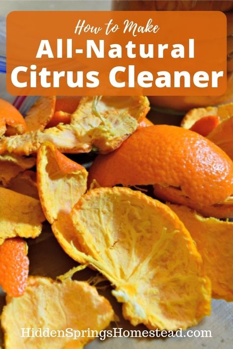 How to make Citrus Cleaner. Make your own homemade citrus cleaner for pennies. No chemicals or toxins - all natural homemade citrus cleaner. Mask Required, Citrus Cleaner, Sustainable Diy, All Natural Cleaners, Homemade Stuff, Natural Cleaning, Natural Cleaners, Wild Edibles, Diy Cleaners