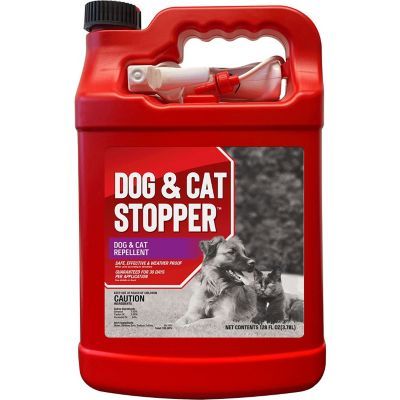 Buy Animal Stoppers Dog & Cat Stopper Animal Repellent, 1 gal. Ready-to-Use with Nested Sprayer at Tractor Supply Co. Great Customer Service. Dog Repellent Spray, Rodent Repellent, Cat Repellant, Rodent Control, Natural Pest Control, Cat Urine, Tractor Supply, Animal Control, Garden Stuff