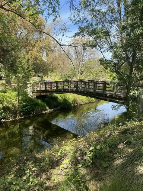 Davis Core, Uc Davis Campus Aesthetic, Ucla College Aesthetic, Uc Davis Aesthetic, Uc Davis Campus, Uc Davis Arboretum, Uc Davis, Aesthetic Columbia University, Uc Berkeley Campus Aesthetic