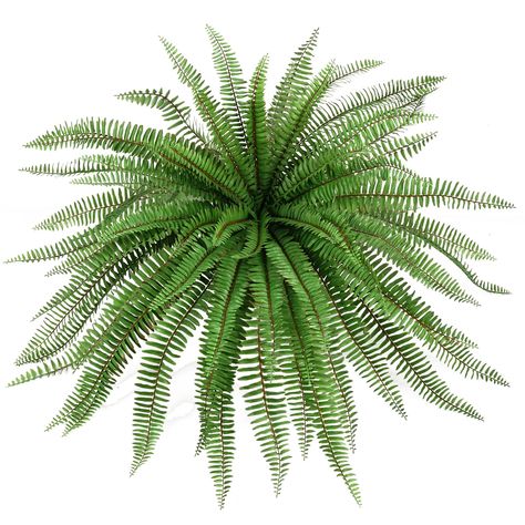 PRICES MAY VARY. High-quality Plastic and Realistic: The 36-inch faux plants are crafted from high-quality plastic, UV-resistant, ensuring durability and resilience. They will not fade or deteriorate even under direct sunlight. Artificial Boston ferns are full and lush and lifelike, allowing you to add a splash of color wherever you want, bringing a touch of nature, the best choice for decorating your home. Elevate Home Decor: This fake ferns indoor decoration is a low-maintenance alternative to Artificial House Plants, Fake Ferns, Fern Plants, Elevated Homes, Boston Fern, Plants Outdoor, Ivy Plants, Artificial Plants Outdoor, Office Garden