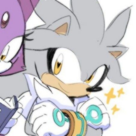 Blaze And Silver Matching Icons, Silvaze Fan Art, Silver And Blaze Matching Pfp, Silver Matching Pfp, Blaze And Silver, Silver And Blaze, Sonic Pfps, Sonic Aesthetic, Matching Pfp's