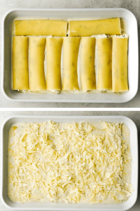 Homemade Cannelloni Pasta, Chicken Caneloni Recipe, Sausage Cannelloni Recipes, Cheesy Bechamel Sauce, Meat Cannelloni Recipes, Bechamel Pasta Bake, Chicken Cannelloni Recipes, Stuffed Cannelloni Pasta, Seafood Cannelloni Recipe