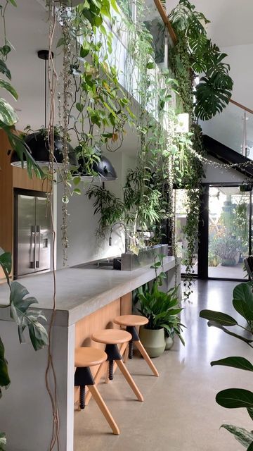 Interior Trellis, Kitchen With Plants, Plants Kitchen, Jungle Kitchen, Plants In Kitchen, Loft Plants, Kitchen With Big Island, Plant Kitchen, Kitchen Plants