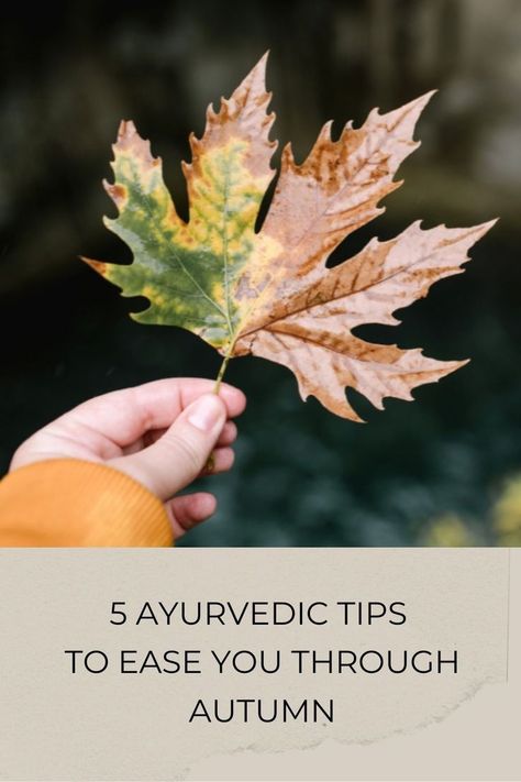 In Ayurveda, Autumn is the season of the Vata dosha, which is also represented by the Air and Ether element. Like Autumn, its qualities are cool, dry, light, movement and changeable. During this time of year it’s important to adjust your diet and lifestyle so that you remain, focused, grounded, and balanced. Here’s 5 tips to ease you through the Autumn transition