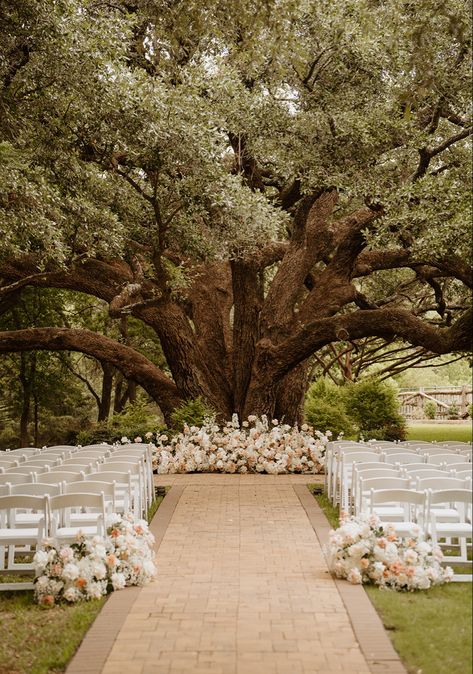 Laid Back Outdoor Wedding, Tree Wedding Ceremony Decoration, Plant Wedding Aesthetic, Under Tree Ceremony, Wedding Venue Willow Tree, Outdoor Wedding White Flowers, Gorgeous Wedding Venues Outside, Under A Tree Wedding, Married Under A Tree