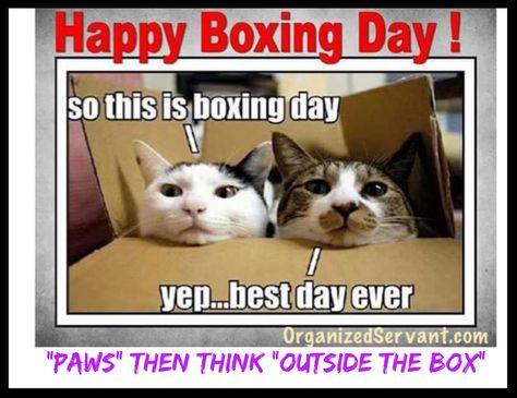 📦 Happy Boxing Day “paws” 😻 😉 then “think outside the box” 🙌🏼 💜💙💚 #OrganizedServant.com Boxing Day Quotes Funny, Happy Boxing Day Quotes, Boxing Day Quotes, Day Quotes Funny, Happy Boxing Day, Hugot Quotes, Cats Cradle, What Cat, Cat Drinking