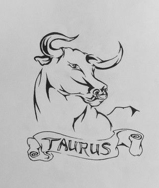 Taurus Drawing Zodiac, Taurus Art Drawing, Taurus Sketch, Taurus Drawing, Taurus Animal, Cheetah Drawing, Taurus Art, Bull Tattoos, Taurus Tattoos