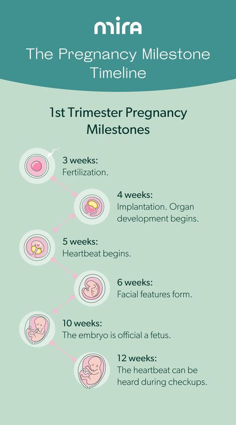 1st Trimester Pregnancy Milestones 1st Trimester Pregnancy, Mira Fertility, Body Changes During Pregnancy, Pregnancy Planning, Mom Checklist, Fertility Tracker, Pregnancy Facts, Pregnancy Week, Healthy Pregnancy Tips