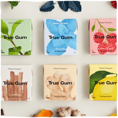 Plant-Based Gum and Pastille Bundles I Shop Now – True Gum Hollywood Chewing Gum, Chewing Gum Brands, Gum Bubble, Gum Brands, Sugar Free Gum, Stevia Plant, Soft Candy, Ginger Turmeric, Gum Arabic