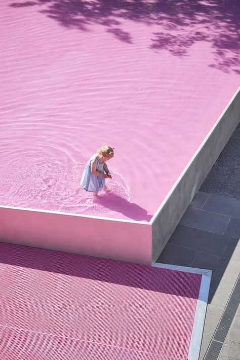 Gallery of Pink Pond / Taylor Knights + James Carey - 16 John Wardle, Temporary Architecture, Melbourne Architecture, Australian Wildflowers, Temporary Structures, Color Forecasting, Architectural Competition, Landscape Elements, Landscape Construction