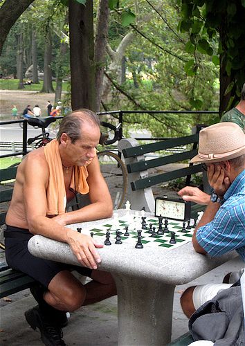 Chess players in Central Park Park Activities, People In Park, Play Park, Outdoor Chess, Lawn Chess, Chess Landscape, Outdoor Chess Board Lawn Games, Senior Citizen Housing, How To Play Dominoes