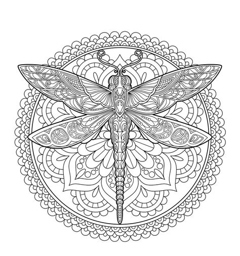 Dragonfly Coloring Pages, Dragonfly Mandala, Insect Coloring Pages, Abstract Coloring Pages, Butterfly Template, Adult Coloring Designs, Mandala Design Pattern, Adult Colouring Pages, Madhubani Art