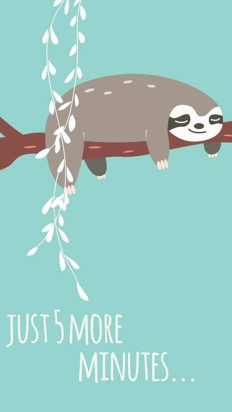 Sloth Wallpaper, Phone Backgrounds Funny, Sloth Life, Sloth Art, Sloth Lovers, Baby Sloth, Phone Ideas, Cute Sloth, Cute Animal Drawings