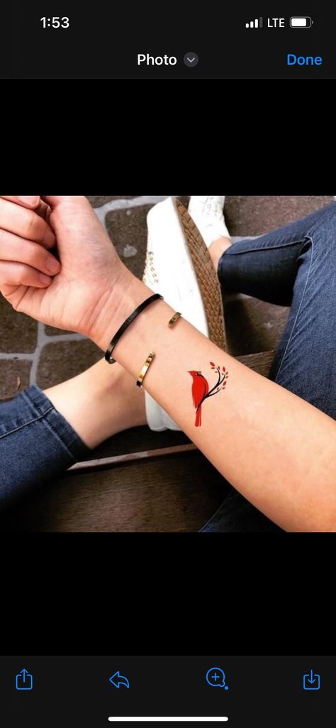 Cardinal Tattoo Wrist, Suga Tattoo, Small Cardinal Tattoo Memorial, Paintings Tattoo, Red Bird Tattoo, Cardinal Tattoo Memorial, Cool Nature Tattoos, Small Cardinal Tattoo, Cardinal Tattoo