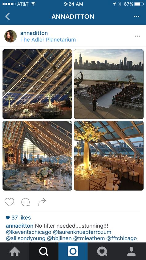 Adler Planetarium Wedding, Planetarium Wedding, Adler Planetarium, Metal Doors Design, Grill Door Design, Doors Design, Design Window, Metal Doors, Window Grill Design