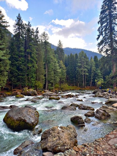 #kashmirdiaries #kashmir #nature #trending #landscape #kashmir #stream #river #nature #naturetrail #pinetrees #lidderriver #pahalgam #india Kashmir Landscape, Pahalgam Kashmir, Beautiful Views Nature, Kashmir India, Study Flashcards, Forest Photos, River Photography, Pretty Landscapes, Beautiful Scenery Nature