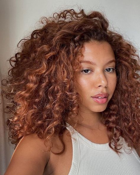 Chestnut Red Hair Color Reddish Brown, Curly Cowboy Copper Hair, Copper Brown Curly Hair, Dark Copper Curly Hair, Highlights On Red Hair, Warm Copper Hair, Red Copper Balayage, Copper Curly Hair, Clara Aesthetic