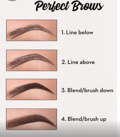 How To Line Eyebrows, Different Types Of Eyebrows, Plumper Lips, How To Do Eyebrows, Applying Lipstick, Membentuk Alis, Clear Soap, Eyebrow Makeup Tutorial, Cupid's Bow