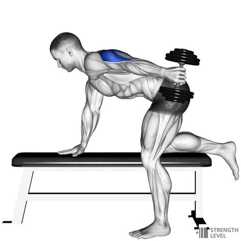 Standards For Men, Dumbbell Tricep, Tricep Kickback, Triceps Workout, Weights Workout, Body Weight, Mens Fitness, Gym Workouts, Gym