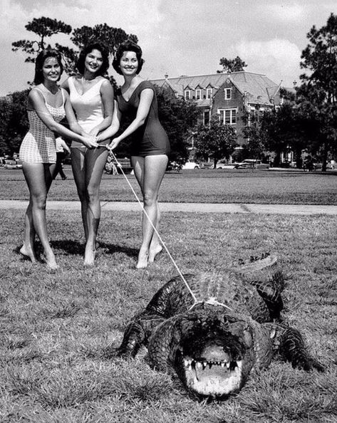 27 Incredible Vintage Photos of People Posing With Alligators, Even Cuddle or Ride Them, From the Early 20th Century ~ Vintage Everyday Photographie Portrait Inspiration, People Poses, Florida Girl, Old Florida, Vintage Florida, Pics Art, Vintage Photographs, Vintage Photography, Key West