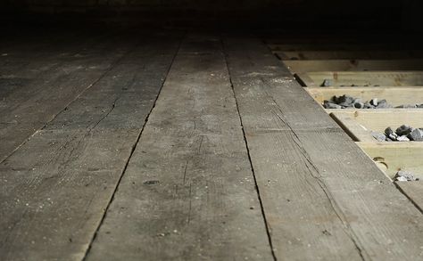 Workshop Floor From Scaffold Boards - The English Woodworker Board Flooring, Shed Ideas, Scaffold Boards, Garage Conversion, Highland Homes, Scaffolding, Garden Shed, The English, Future House