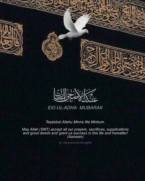 Eid Ul Adha Mubarak, Eid Ul Azha, Adha Mubarak, Eid Ul Adha, Islamic Gifts, Good Deeds, Quran Quotes Inspirational, Quran Quotes, Photo Profil