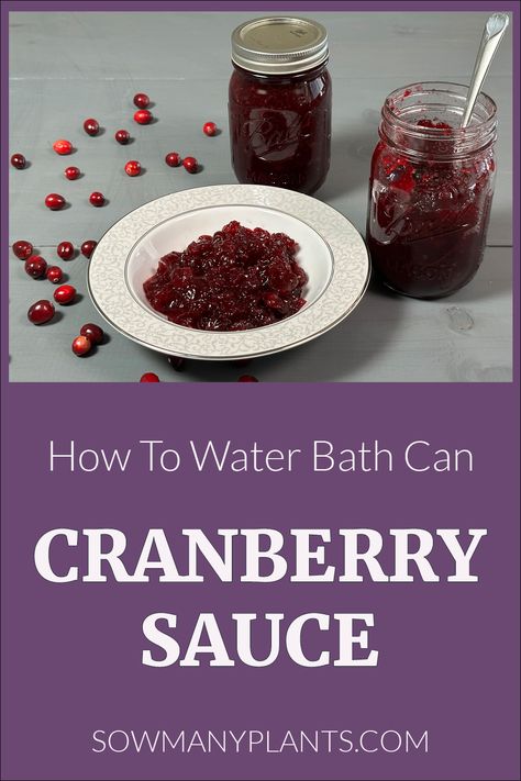 Pinterest Pin for How To Water Bath Can Cranberry Sauce. Picture of cranberry sauce in a bowl with two mason jars of water bath canned cranberry sauce. Can Cranberry Sauce, Canning Cranberry Sauce, Canning Cranberry, Fall Canning, Canning Water, Water Bath Canning Recipes, Canning Rack, Canned Cranberries, Cranberry Jelly