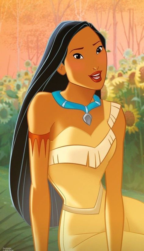 Pocahontas Movie, Pocahontas Meeko, Disney Princess Pocahontas, Pocahontas Tattoo, Princess Pocahontas, Disney Princess Cartoons, Disney Enchanted, Disney Pocahontas, Princess Pictures