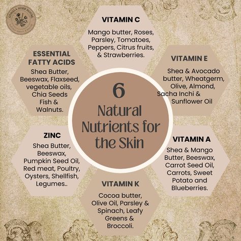 1. Vitamin C: Brightens skin tone, boosts collagen production. Sources: Citrus fruits, strawberries. Herbs: Rosehip for added antioxidants. 2. Vitamin A: Stimulates cell turnover, reduces wrinkles. Sources: Carrots, sweet potatoes. Herbs: Calendula for soothing benefits. 3. Vitamin K: Aids in wound healing, reduces dark circles. Sources: Leafy greens, broccoli. Herbs: Arnica for improved skin tone. 4. Vitamin E: Protects against UV damage, moisturizes skin. Sources: Almonds, olive oil. Oil... Cinnamon Skin Benefits, Angelica Herb, Carrots Sweet, Homemade Body Care, Carrot Seed Oil, Pumpkin Seed Oil, Boost Collagen Production, Citrus Fruits, Vitamins For Skin