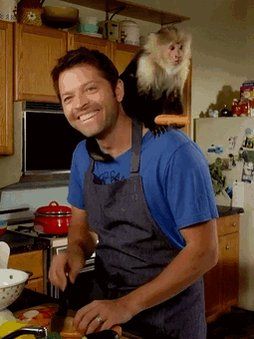 Misha Collins Tumblr, Kings Of Con, Sam E Dean Winchester, Supernatural Tv Show, Supernatural Destiel, Supernatural Memes, Supernatural Fans, A Monkey, Supernatural Cast