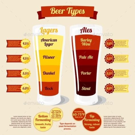 Types Of Beer Infographic - Conceptual Vectors Beer Infographic, Craft Beer Packaging, Beer Types, Beer Guide, Types Of Beer, Brewing Recipes, Beer 101, Beer Pairing, Vector Food