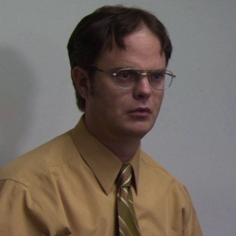 the office | dwight schrute | aesthetic icons Dwight Schrute Icon, Dwight K Schrute, Interview Rooms, The Office Dwight Schrute, The Office Dwight, Rainn Wilson, Office Icon, Dwight Schrute, Michael Scott