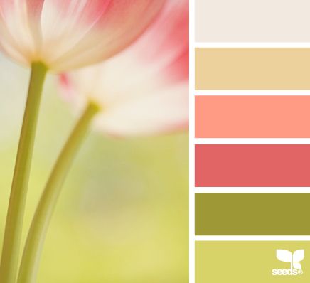 Tulip palette Wedding Themes Spring, Color Schemes Colour Palettes, Hue Color, Color Palate, Design Seeds, Bedroom Paint Colors, Shabby Chic Vintage, Colour Schemes, Color Pallets