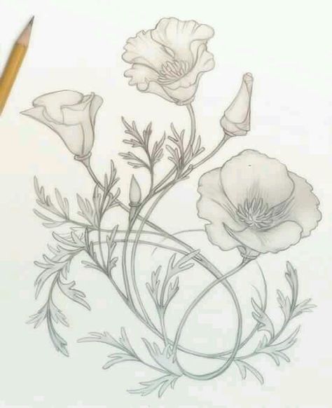 Poppy drawing Poppies Sketch, Poppy Line Drawing, Drawing Poppies, California Poppy Drawing, Hunter Moon, California Poppy Tattoo, Flowers Poppy, Nouveau Flowers, Art Nouveau Tattoo