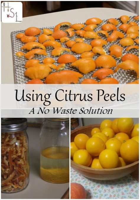 What To Do With Citrus Peels, Citrus Peels Uses, Citrus Peel Uses, Composting Worms, Cleaning Body, Waste Free Living, Seasonal Living, Winter Fruit, Waste Free