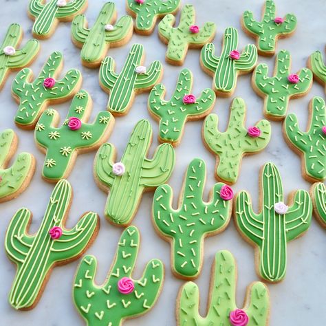 Cactus biscuits by Eat My Cake London Cactus Royal Icing Cookies, Cactus Decorated Cookies, Cactus Cookies Decorated, Cactus Sugar Cookies, Mexico Cake, Fiesta Cookies, Cactus Cookies, Taco Cake, Summer Sugar Cookies