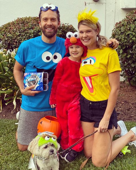 Haoween Family Costumes Sesame Street Halloween Costumes Family, Family Sesame Street Costumes, Sesame Street Family Costume, Diy Sesame Street Costume, Sesame Street Costume, Sesame Street Halloween Costumes, Big Bird Costume, Family Costumes Diy, Family Themed Halloween Costumes